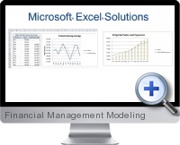 Financial Management Modeling screenshot